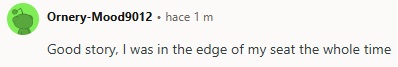 Reddit comment by Ornery-Mood9012